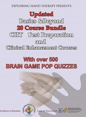 Basics and Beyond ® CE Course -   67.75 AOTA Hours - Discounted  All 20 Chapters
