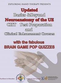 Basics and Beyond ® Neuroanatomy and Sensory Re-education of the UE Basics and Beyond ® Neuroanatomy and Sensory Re-education of the UE