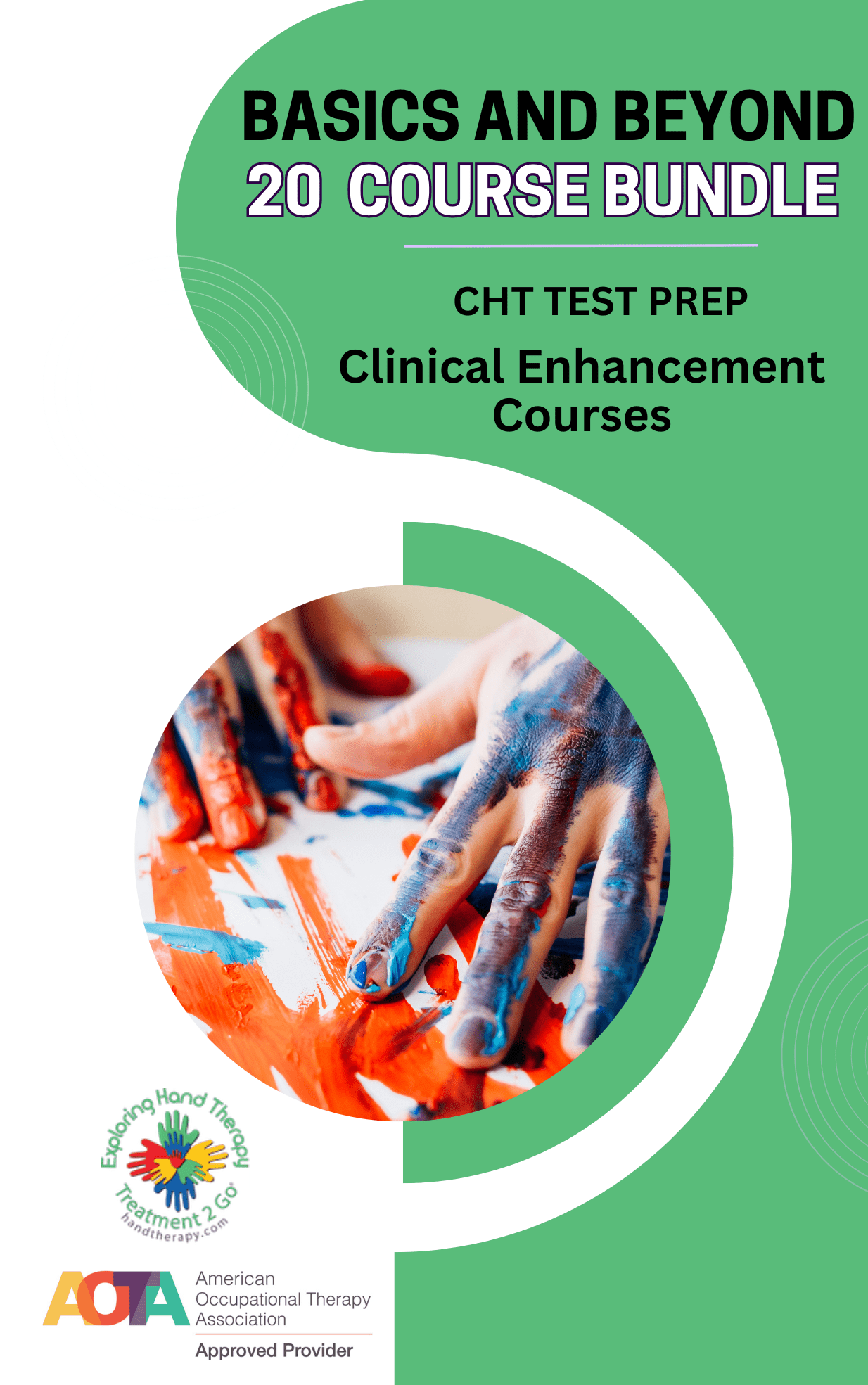 Basics and Beyond ® CE Course -   67.75 AOTA Hours - Discounted  All 20 Chapters