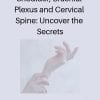 Shoulder, Brachial Plexus and Cervical Spine: Uncover the Secrets