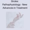 Stroke: Pathophysiology - New Advances in Treatment