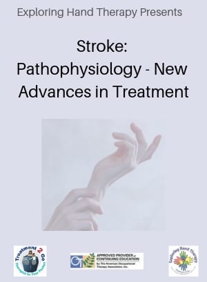 Stroke: Pathophysiology - New Advances in Treatment