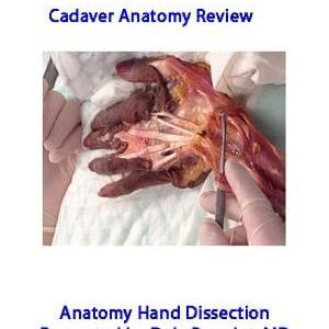 CADAVER Anatomy Hand Dissection: Making The Complex Simple