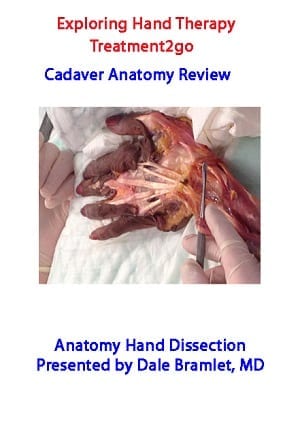 CADAVER Anatomy Hand Dissection: Making The Complex Simple