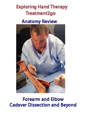 CADAVER  Anatomy Review Forearm and Elbow – Cadaver Dissection and Beyond