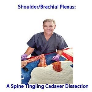 CADAVER Shoulder/Brachial Plexus: A Spine Tingling Cadaver Dissection