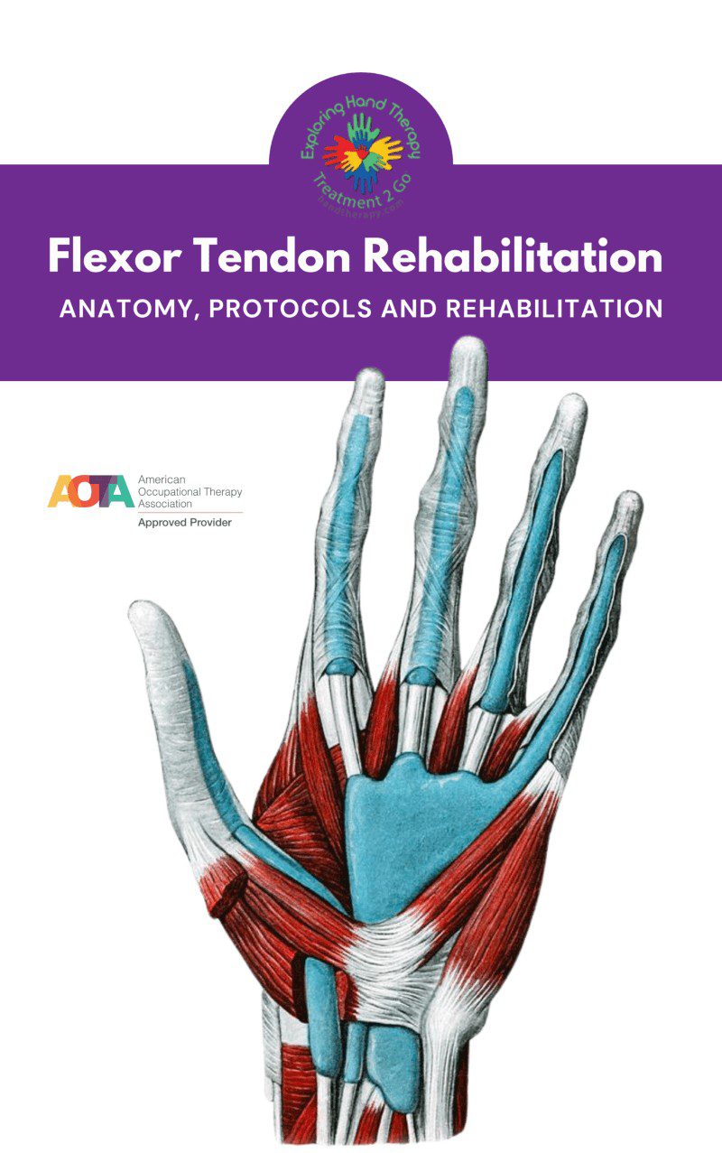 Flexor Tendon Rehabilitation